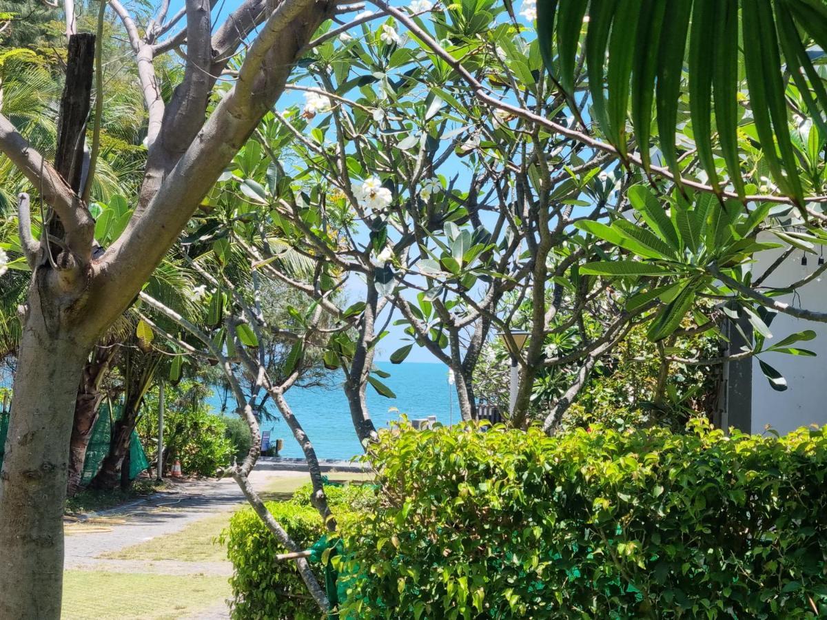 Oceanami Resort Sea View Long Hai Eksteriør billede