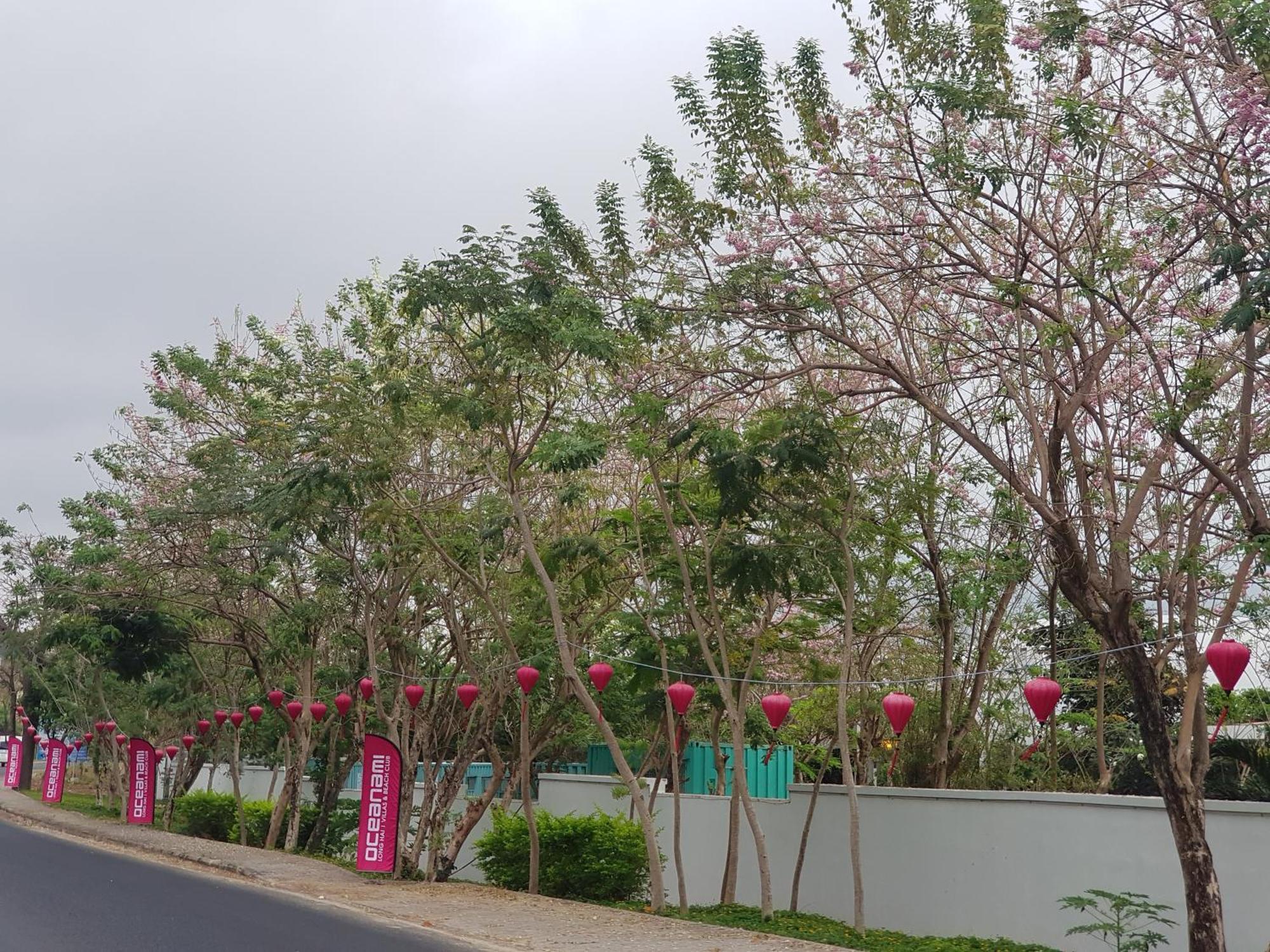 Oceanami Resort Sea View Long Hai Eksteriør billede