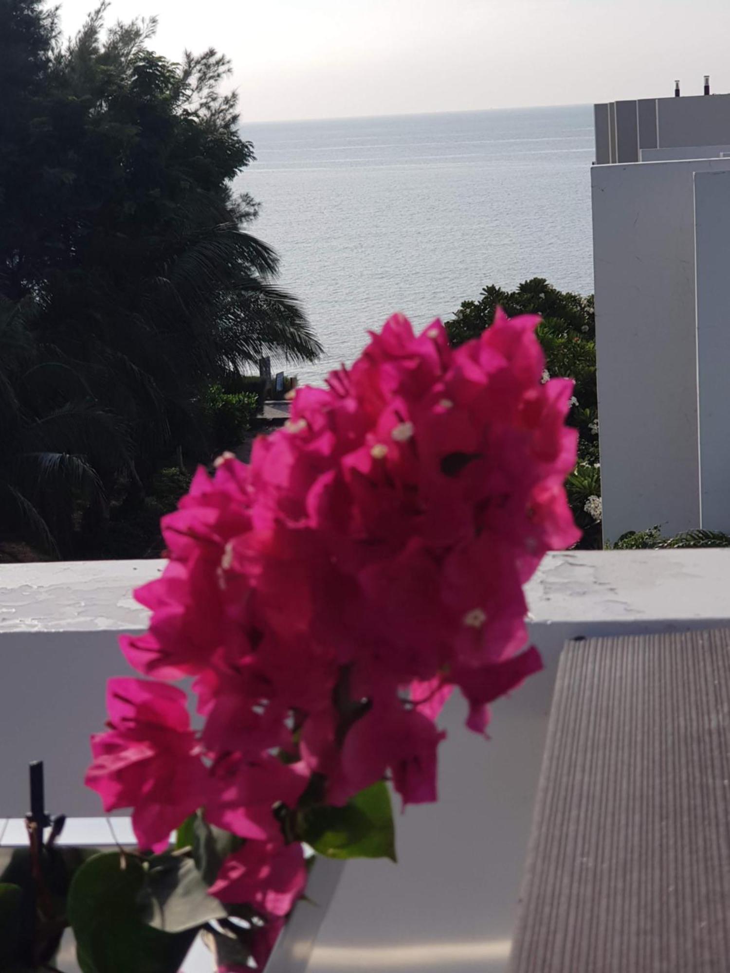 Oceanami Resort Sea View Long Hai Eksteriør billede