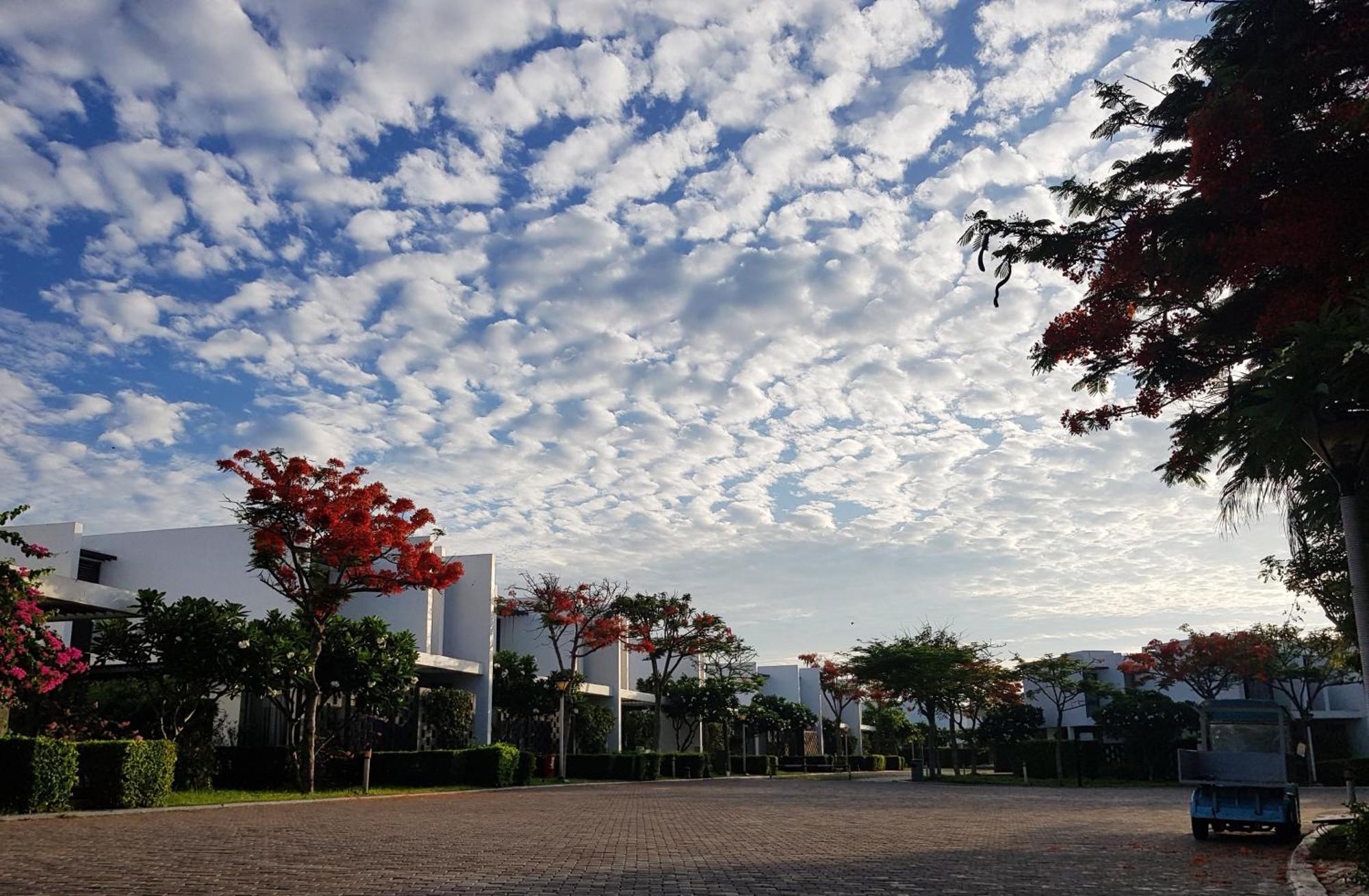 Oceanami Resort Sea View Long Hai Eksteriør billede